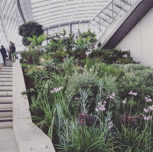 Screen Shot 2015-10-04 at 12.25.33