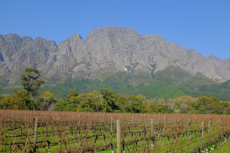 13434843_844499880243_6654543197931332219_n