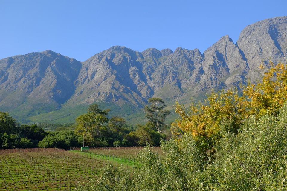 13508889_844499131743_3097137832088468785_n