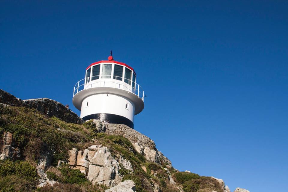 13510752_844498138733_3903858039701139505_n