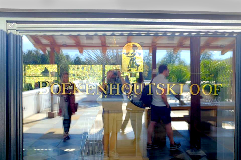 13516219_844499625753_2294805467993401036_n