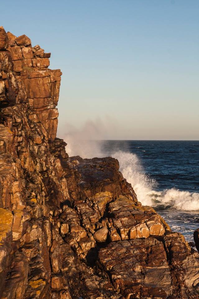 13529104_844498512983_5965359108905911308_n