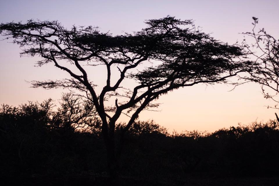 13450075_844509111743_8789261453572265086_n