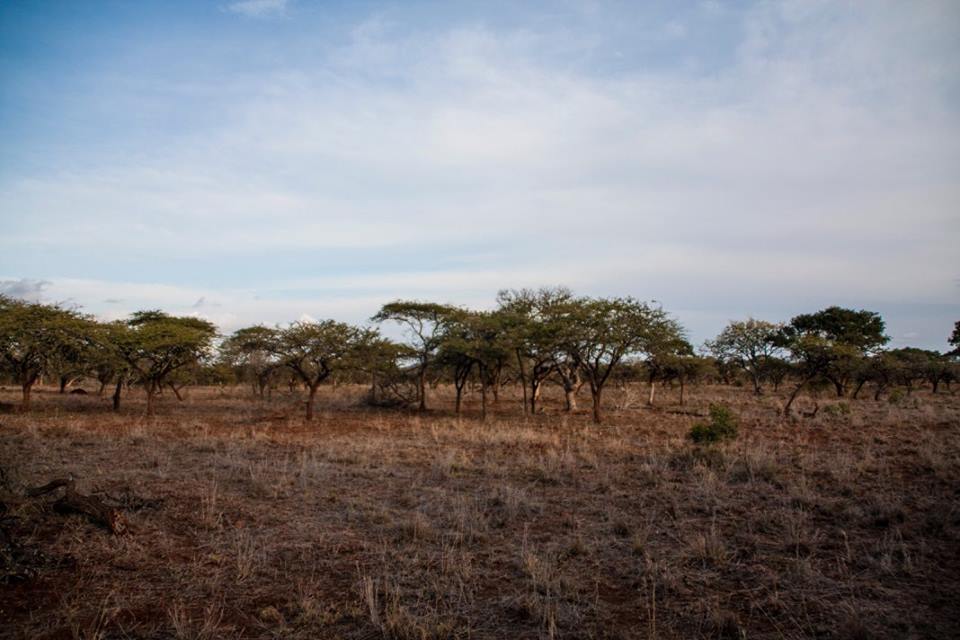 13509145_844504391203_6948718082513807795_n