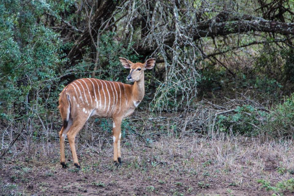 13510950_844504471043_8239696843724631172_n