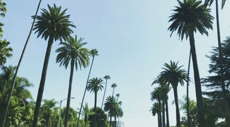 Screen Shot 2017-10-12 at 09.52.59